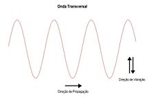 Onda_transversal.jpg